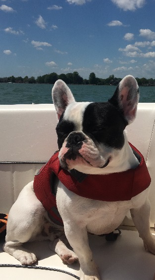 Rambo on a boat